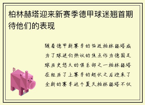 柏林赫塔迎来新赛季德甲球迷翘首期待他们的表现