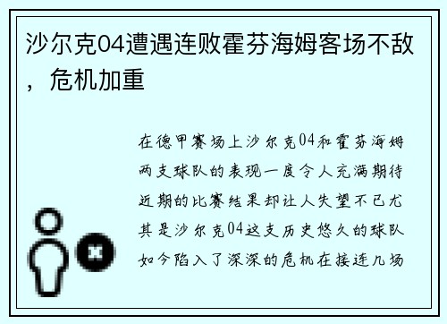 沙尔克04遭遇连败霍芬海姆客场不敌，危机加重